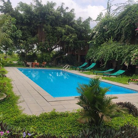 Tuyet'S Homestay Ninh Binh Eksteriør bilde