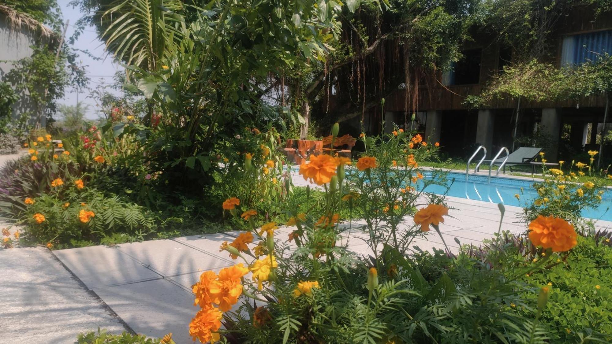 Tuyet'S Homestay Ninh Binh Eksteriør bilde